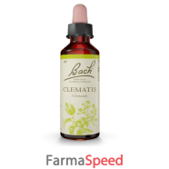 clematis bach orig 20 ml