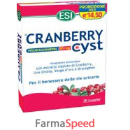 cranberry cyst 30 ovalette