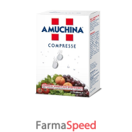 amuchina compresse 1g 24pz