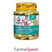 caffè verde 2000 mg funzionale