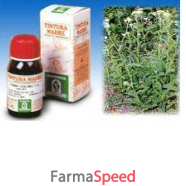 achillea 51 50ml tm