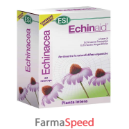 echinaid alta potenza 60cps