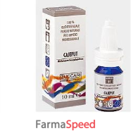 zuccari oe cajeput 10ml