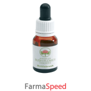 bottlebrush gocce 15ml