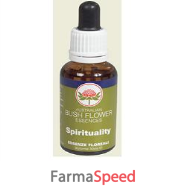 spirituality ess 30ml gtt