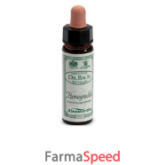 ainsworths honeysuckle 10ml