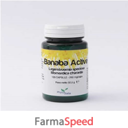 banaba active 60cps