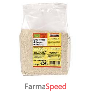 fdl farina integr segale 500g