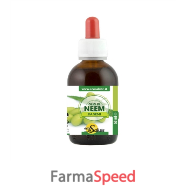 neem olio 50ml semi