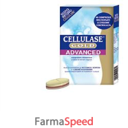 cellulase gold advance 40cps