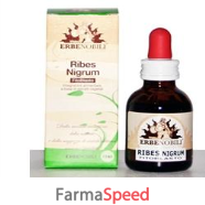 fitoblasto ribes nigrum 50ml