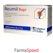 reumil flogo 20bust