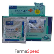 enerlyte plus 24bust 100g