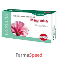 magnolia estratto secco 60 compresse 18 g