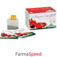 infuso fragola/lampone 20bust