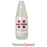 amuchina 1000ml