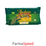 le asolane bio tagliatelle 250