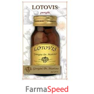 lotovis 100past