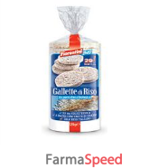 gallette riso bio 120g