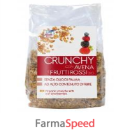 crunchy c/avena/frutti rossi