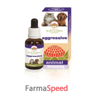 aggressive 30ml