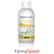 aloevera2 succo p aloe+enerton