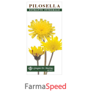 pilosella estr integr 200ml