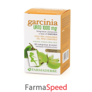 garcinia urto 1000 60cpr