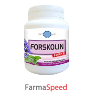 forskolin forte 60cps