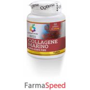 colours life collagene 60cps