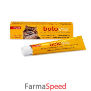 bolo via pasta gatti 50 g