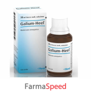 galium 30ml gtt heel