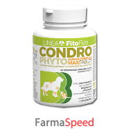 condrophyto 60 compresse 2 g