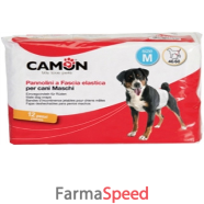 pannolini fasc cani masc 1 12p