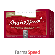 opc masquelier anthogenol 90 capsule