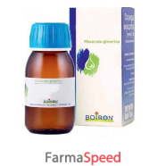 rosmarinus officinalis macerato glicerico 60 ml