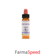 honeysuckle essenza 10ml