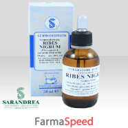 ribes nigrum 100ml mg