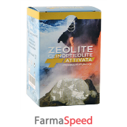 zeolite attivata 100cps 91,8g