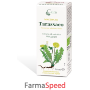 macerato tarassaco bio 50ml