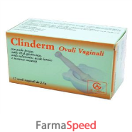 clinderm ovuli vaginali 15pz