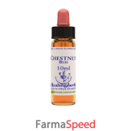chestnut bud essenza 10ml