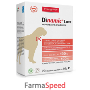 dinamic large 20 bustine 10 g