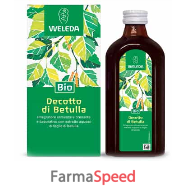 decotto di betulla 250 ml