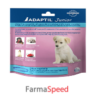 adaptil junior collare