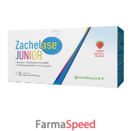 zachelase junior 10 flaconcini da 10 ml