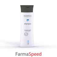riderma shampoo 200ml