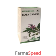 gemmosol 37 rosa canina 50ml