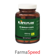 cordyseps 60 capsule
