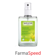 deodorante spray limone 100ml